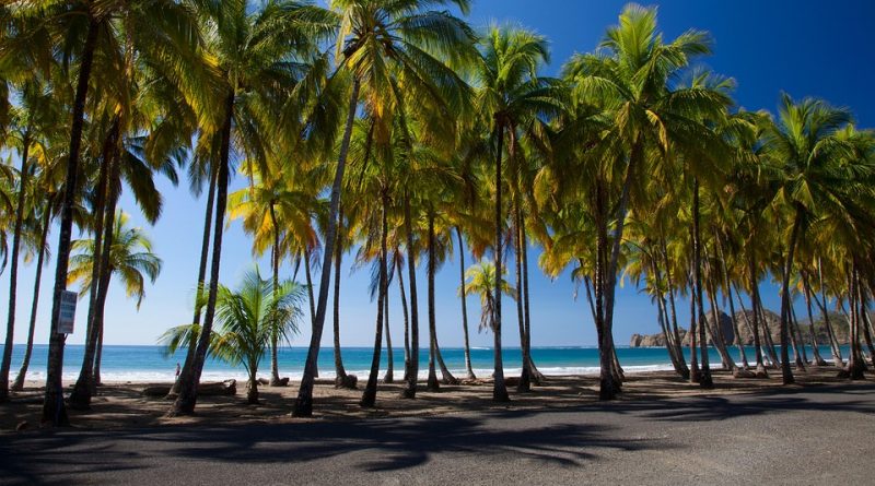 Martinique, Fort-de-France, beach, volcano, palm, rainforest, Creole, boat, island
