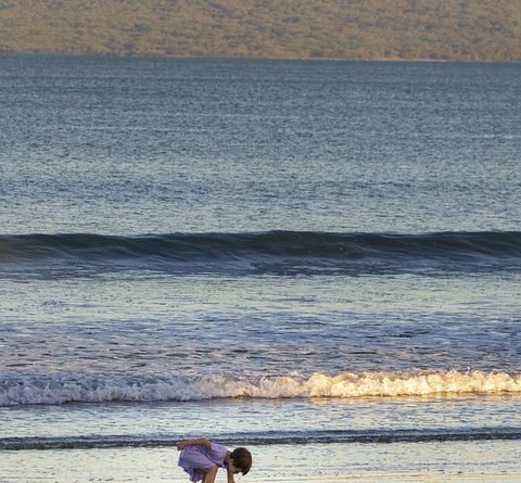Martinique, Fort-de-France, beach, volcano, palm, rainforest, Creole, boat, island