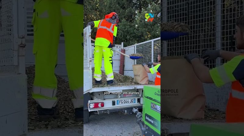 🌿 Broyage gratuit de vos végétaux à proximité !