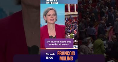 Budget : Sandrine Rousseau interpelle Olivier Faure