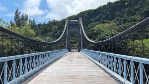 CIREST : un concours à 8,5 millions d'euros pour la valorisation du pont suspendu de la rivière de l’Est