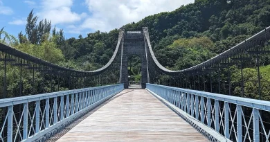 CIREST : un concours à 8,5 millions d'euros pour la valorisation du pont suspendu de la rivière de l’Est