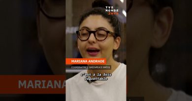 COP 30 au Brésil : Lula face à ses contradictions