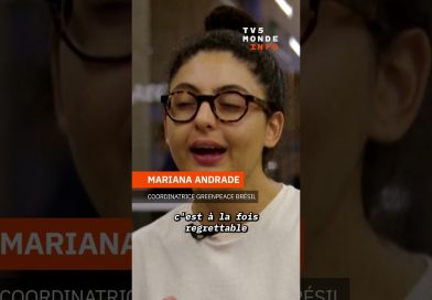 COP 30 au Brésil : Lula face à ses contradictions