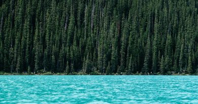 Centre-Val de Loire, Orléans, Tours, Loire river, castle, vineyard, forest, landscape