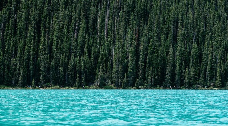 Centre-Val de Loire, Orléans, Tours, Loire river, castle, vineyard, forest, landscape