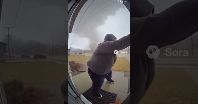 Caseoh emporté par une tornade ! #shorts #caseoh