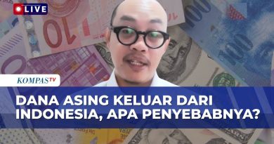 Celios : Défis fiscaux et menaces pour l'APBN 2025