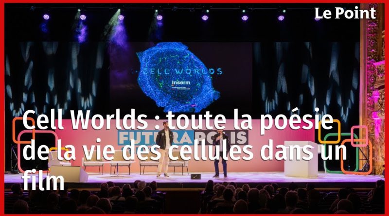 Cell Worlds : la poésie des cellules au cinéma