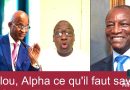 Cellou et Alpha : L'essentiel à connaître