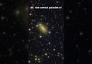 Ces 5 Galaxies Géantes Étonnent l'Univers