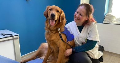 "C'est de la magie", Vox la nouvelle recrue du CHU de Dijon fait des miracles auprès des enfants victimes de violences - ICI