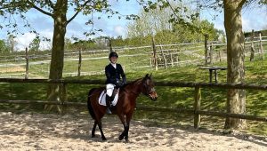 illustration agrandir l