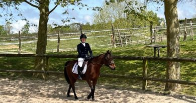 illustration agrandir l