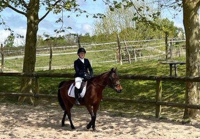 illustration agrandir l