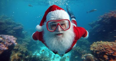 Cétacés : L'Association Recherche Insulaire (CARI) pour la préservation des espèces marines