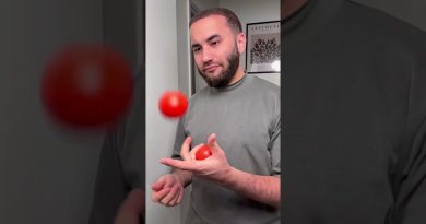 Chakchouka : une recette simple et délicieuse 🍅🫑