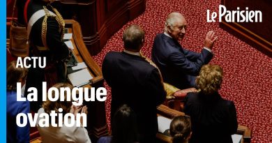 Charles III au Sénat : ovation debout pour le roi