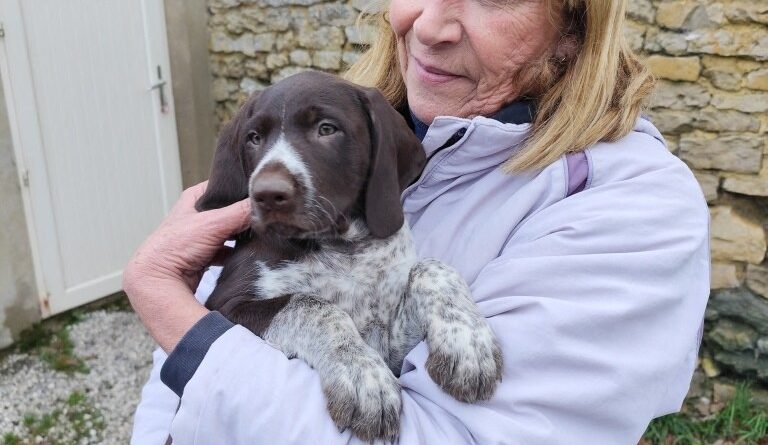 Chiots abandonnés dans un conteneur dans l'Orne : ils ont rejoint leurs nouvelles familles