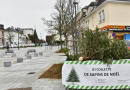 Collecte sapin de Noël - Site officiel de la Ville d’Évreux