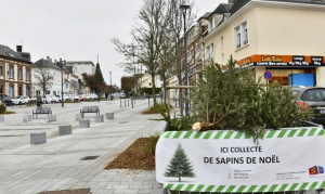 Collecte sapin de Noël - Site officiel de la Ville d’Évreux