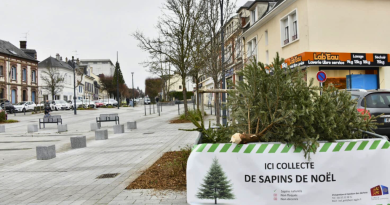 Collecte sapin de Noël - Site officiel de la Ville d’Évreux