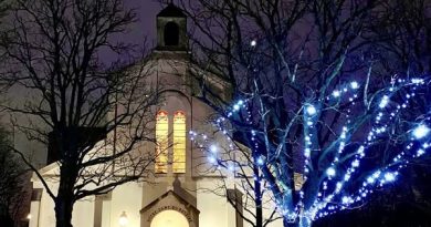 Comité de Quartier du Parc de Saint Maur