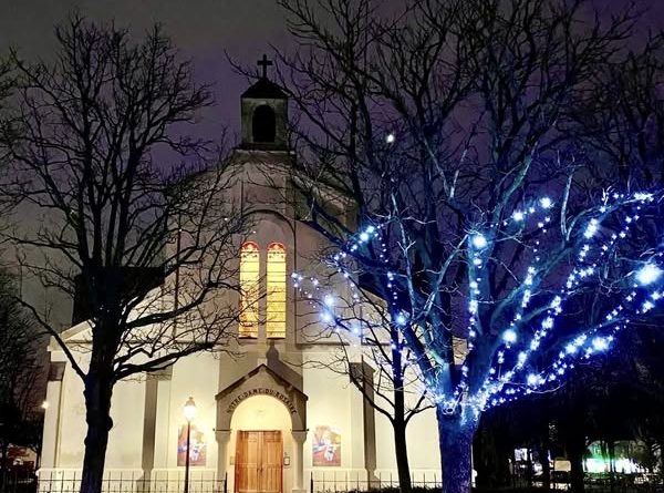 Comité de Quartier du Parc de Saint Maur