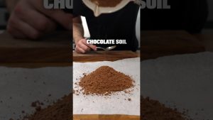 Comment réaliser de la terre au chocolat