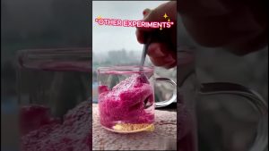 Comparaison d'Expériences : Celle-ci se Démarque ! 👑