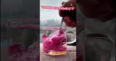 Comparaison d'Expériences : Celle-ci se Démarque ! 👑