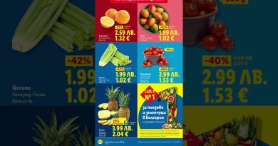 Comparatif des Supermarchés : Lidl, Billa, et Kaufland en Bulgarie