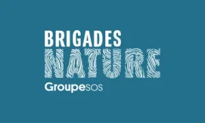 Incendie à la menuiserie des Brigades Nature Rhône : priorité à l’accompagnement des salariés