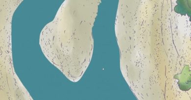 Comprendre la dynamique des rivières