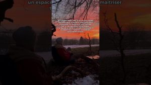 Comprendre le cerveau des personnes avec TDAH