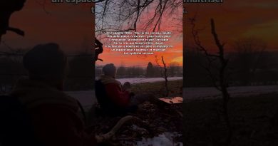 Comprendre le cerveau des personnes avec TDAH