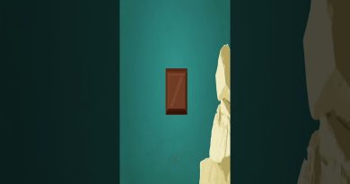 Comprendre le tempérage du chocolat : explications clés