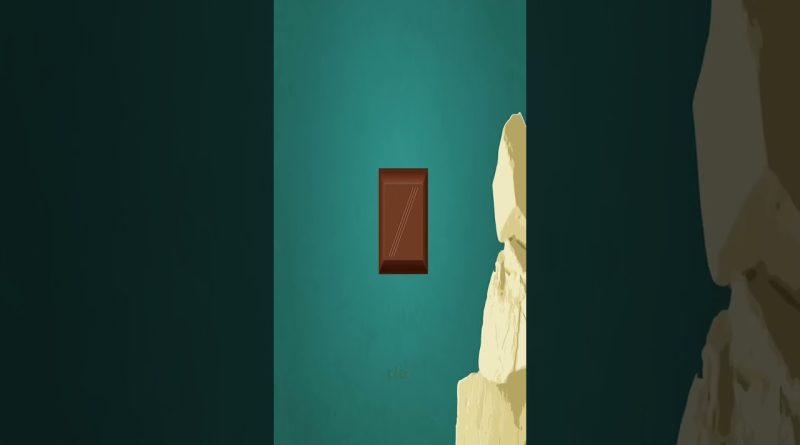 Comprendre le tempérage du chocolat : explications clés