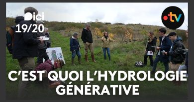 Comprendre l'hydrologie générative en quelques mots
