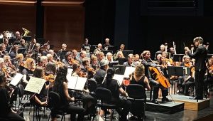 illustration agrandir l