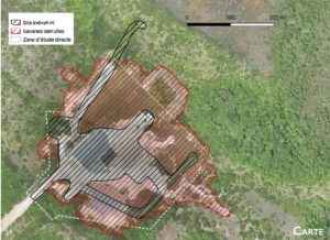 Condamné pour destruction d'espèces protégées en Guyane, le Cnes échappe à une amende