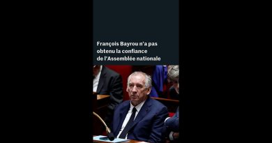 Confiance en péril : le gouvernement Bayrou s'effondre