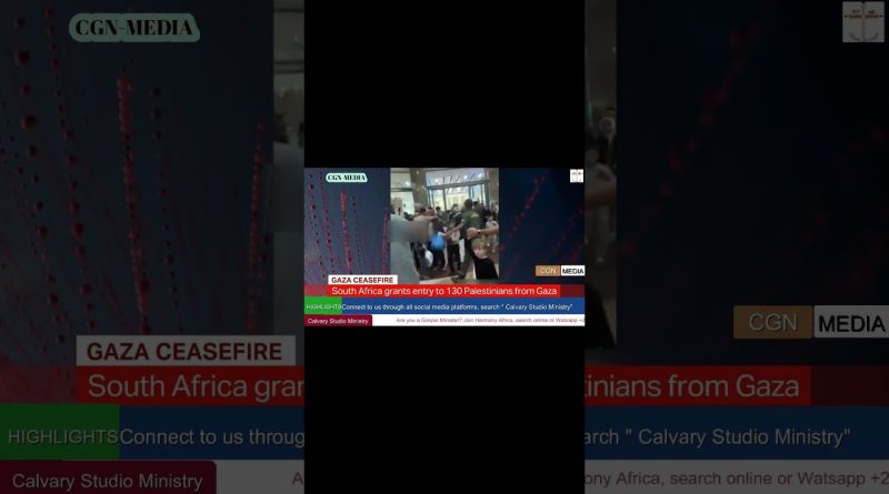 Conflit à Gaza : L'Afrique du Sud accueille 130 évacués palestiniens