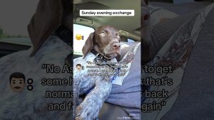 Conflits de garde d'enfants : familles toxiques et irresponsables