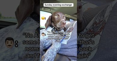 Conflits de garde d'enfants : familles toxiques et irresponsables