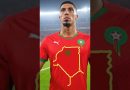 Controverse : Annulation d'un match à cause d'un maillot marocain