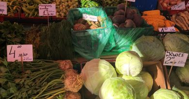 Crise politique en Bulgarie : le pays adopte la monnaie euro