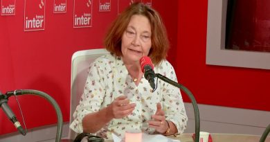 Crise politique : quelles options pour Emmanuel Macron ?