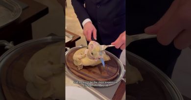 Restaurant Paul Bocuse : Une expérience culinaire inoubliable à Lyon Critique du Restaurant Paul Bocuse à Lyon, France