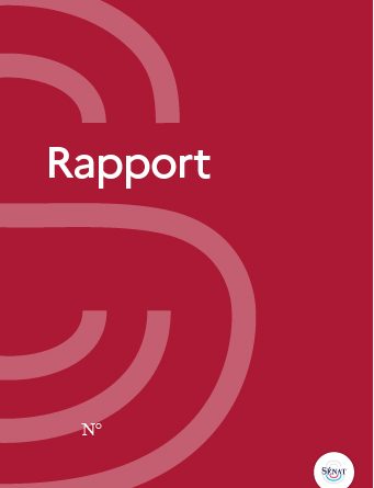 Croissance des économies ultramarines : Analyse du Sénat
